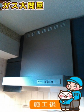 愛知県岡崎市でのKLR-3S-AP601RSV(右排気)／KLR-3S-AP601LSV(左排気)への交換工事（刈谷店施工）