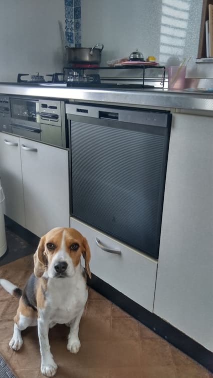 ZWPP45R21ADK-Eへの交換工事