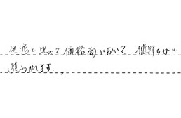 愛知県岡崎市 I様からの工事完了後評価